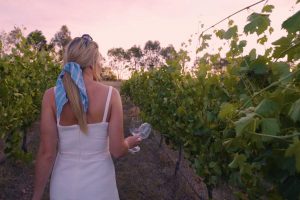Wandering through the Vineyard - Vale Creek Wines | Bathurst Vignerons Association, Australia