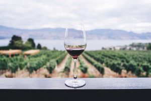 Glass of Red in the Vineyard | Bathurst Vignerons Association, Australia